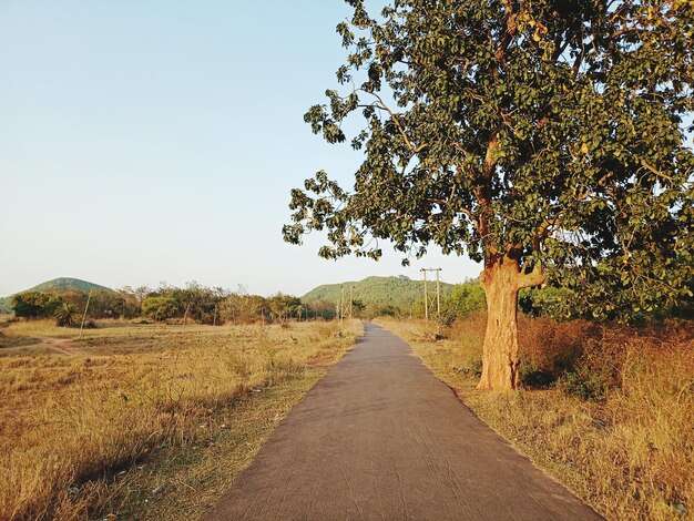 रस्ता बांधकाम प्रकल्प